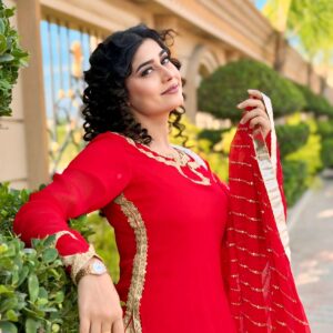 Crimson Red Heavily Embroidered Net
